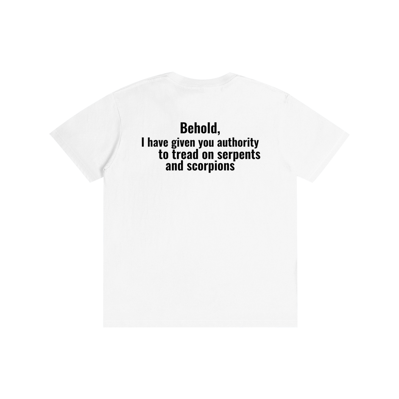 Jesus,Christian,Authority